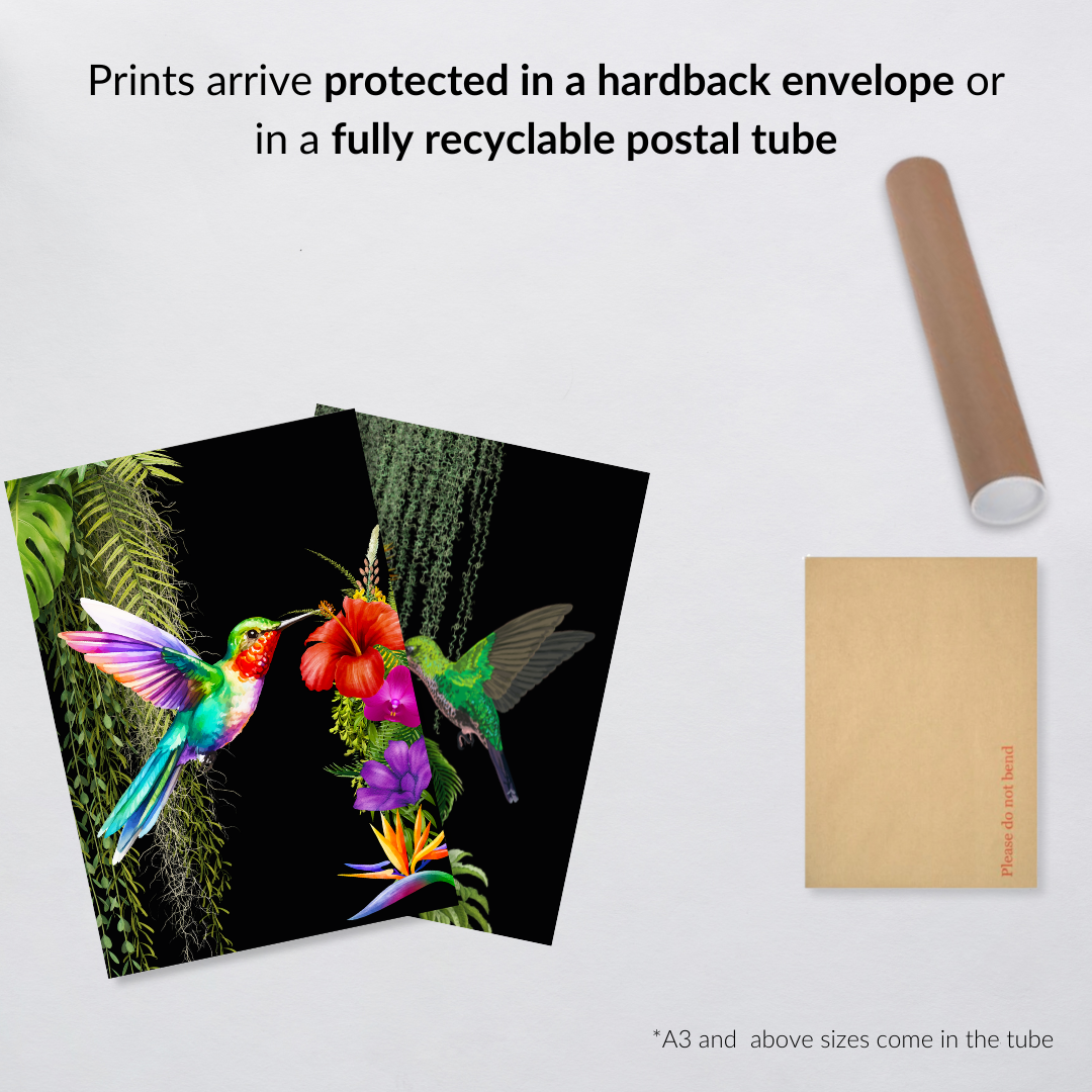 Set of 2 Hummingbird Prints – Luxe Tropical Wall Art