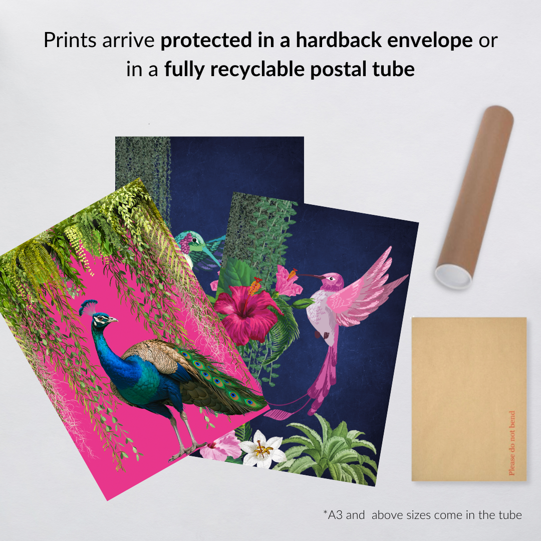 Set of 3 Vibrant Tropical Birds – Maximalist Luxe Wall Art