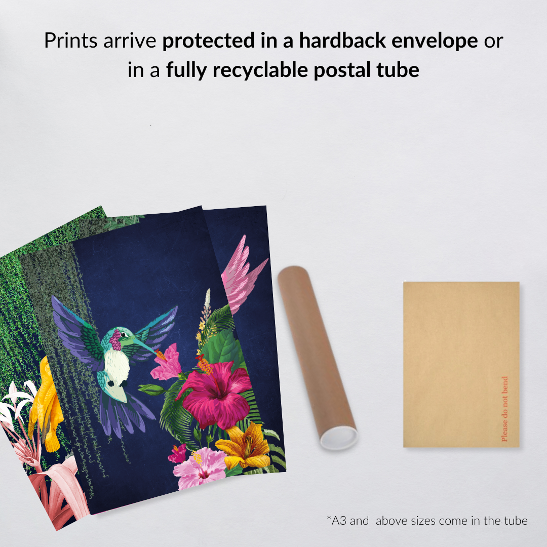 Tropical Navy Birds – Luxe Set of 3 Prints