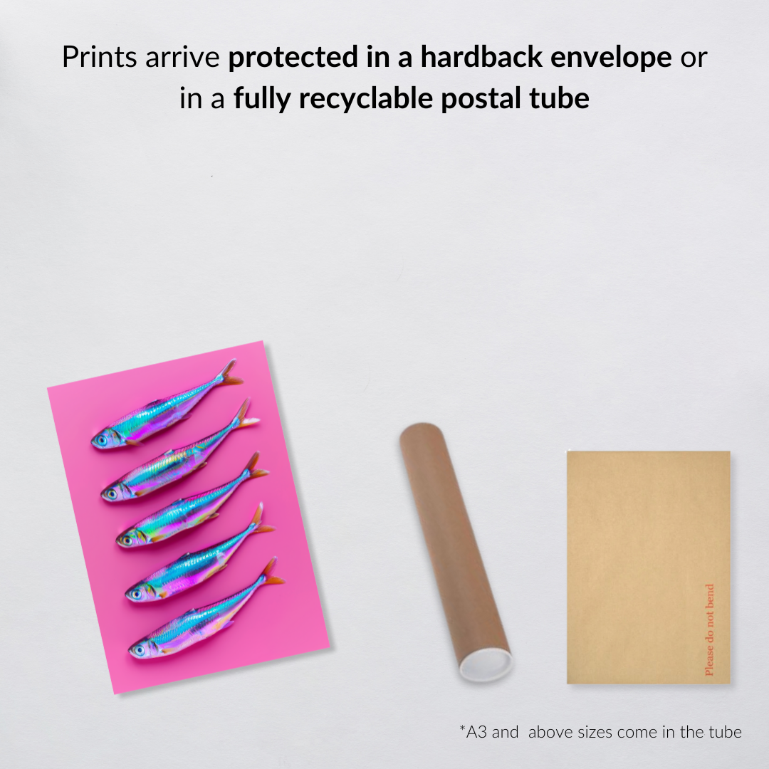 Disco Sardines – Iridescent Fish Wall Art on Hot Pink