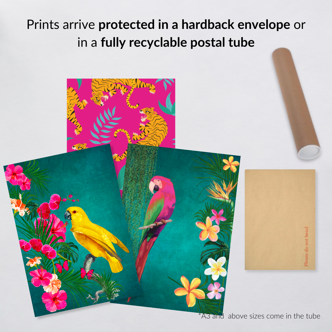 Teal Tropical Birds & Hot Pink Leopards Print Set of 3